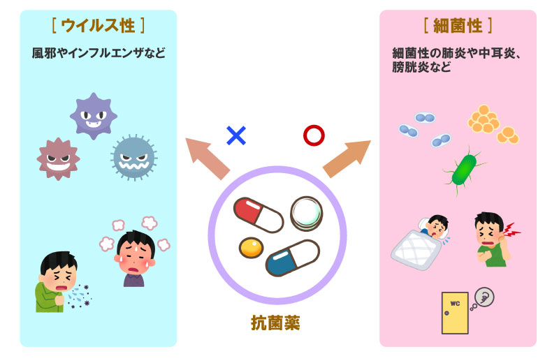 ウイルス性のかぜに抗菌薬が無効であることを示すイメージ図