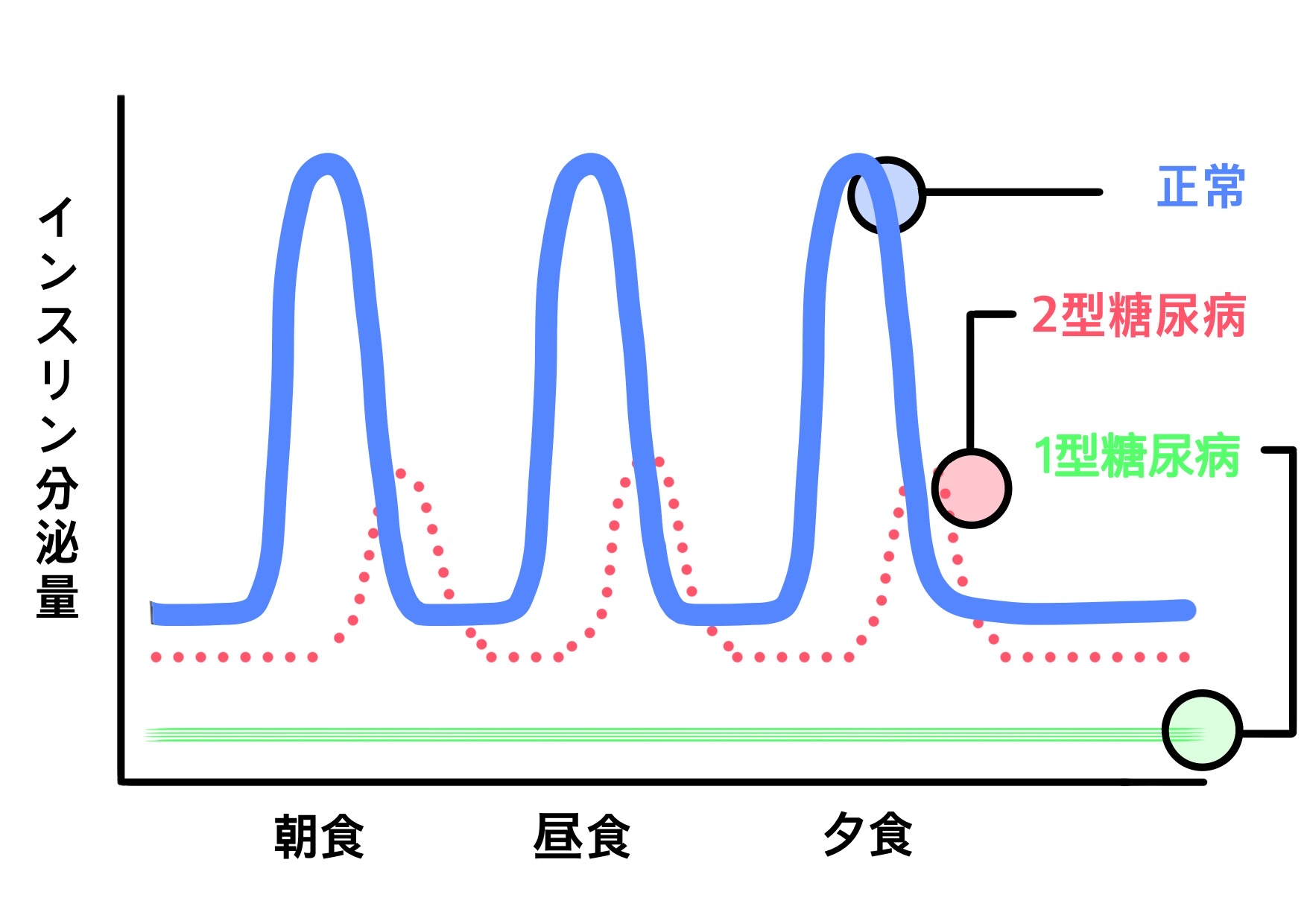 血糖値の推移