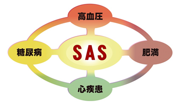 SASと生活習慣病の関係図